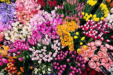 量大管饱！战斗爽！割草肉鸽打僵尸游戏《黎明前夜》今日发售！