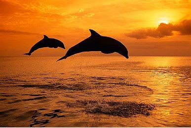 Epic喜加一：《改造火星》免费领取