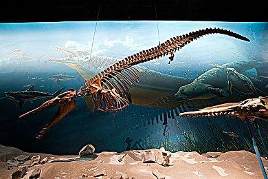 《侏罗纪世界：进化2》最新新实机演示 11月9日发售 